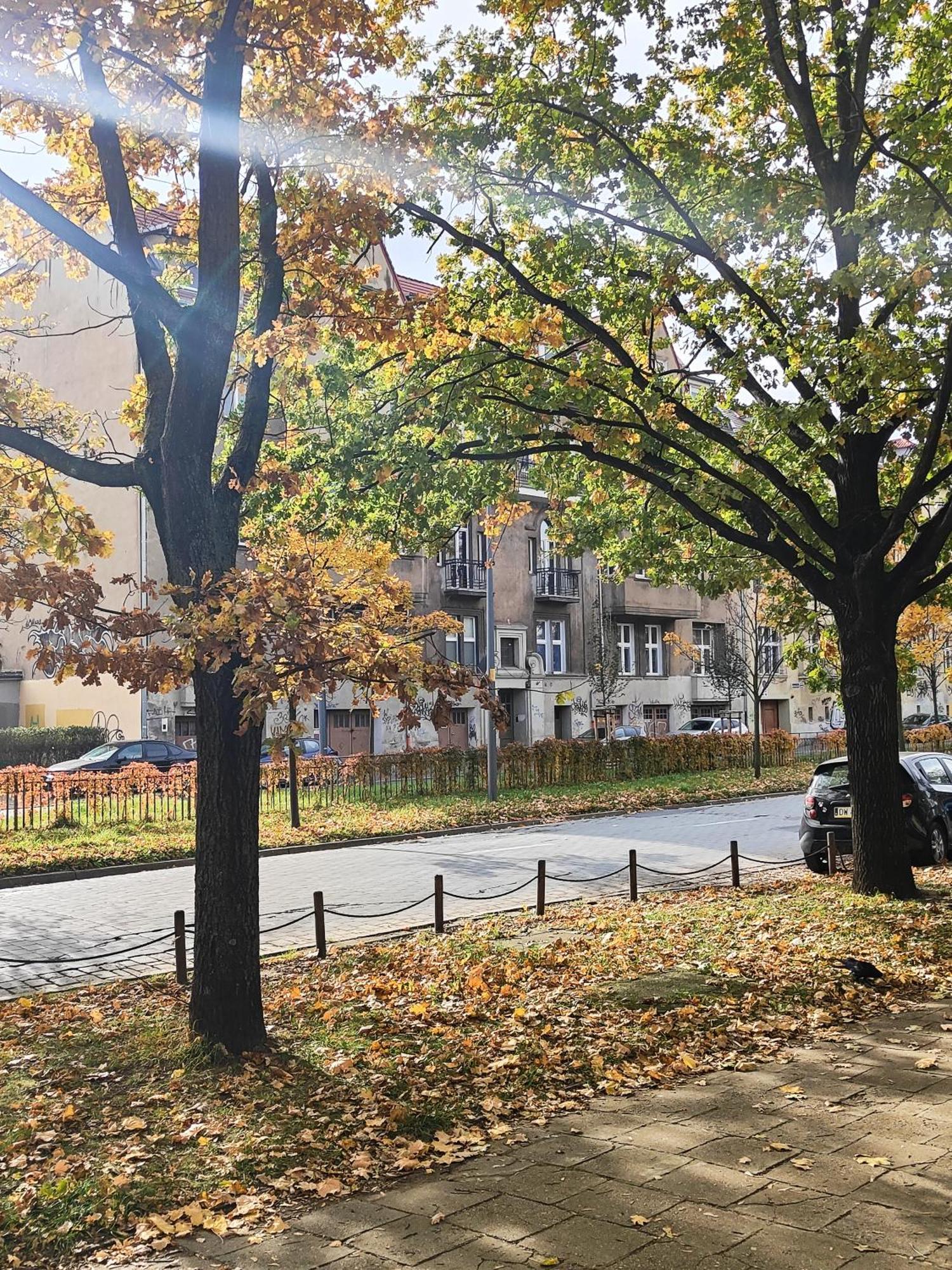 Apartament Stylowa Kamienica Wrocław Eksteriør bilde